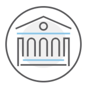 Governance icon