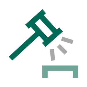 Regulatory compliance icon
