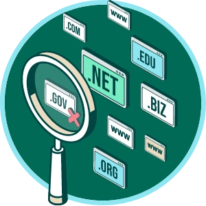 Domain monitoring detection and collection process