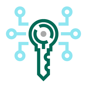 Data encryption icon